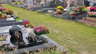 Quatre communes de l'Observatoire des villes vertes sur dix sont passées au « zéro phyto » dans les cimetières, allant ainsi plus loin que les obligations légales. Quatre communes de l'Observatoire des villes vertes sur dix sont passées au « zéro phyto » dans les cimetières, allant ainsi plus loin que les obligations légales.
