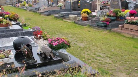 Quatre communes de l'Observatoire des villes vertes sur dix sont passées au « zéro phyto » dans les cimetières, allant ainsi plus loin que les obligations légales.