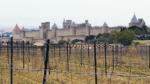 PHOTO : J.-P. TOURLY