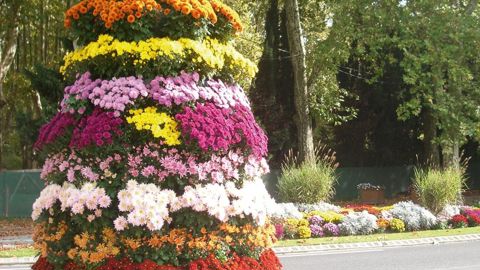 Pour mettre la ville en valeur, une soixantaine de jardinières, ainsi qu'une tour de plus de 2,20 m, ont été mises en culture par Jean-Louis Martinet, horticulteur à Carcassonne, épaulé par Jean Vincent, en stage d'insertion professionnelle.PHOTO : J.-L. MARTINET