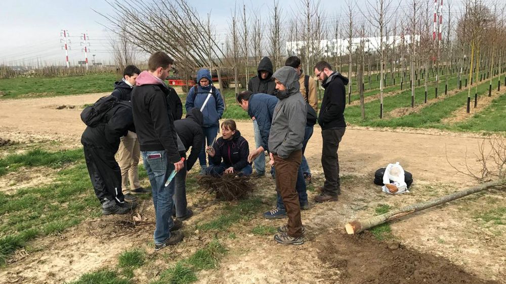 Observations de systèmes racinaires en pépinière avec Claire Atger, du bureau d'études Pousse Conseil.PHOTOS : PÔLE ARBORICULTURE SAINT-GERMAIN  Observations de systèmes racinaires en pépinière avec Claire Atger, du bureau d'études Pousse Conseil.PHOTOS : PÔLE ARBORICULTURE SAINT-GERMAIN