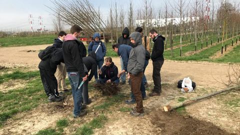  Observations de systèmes racinaires en pépinière avec Claire Atger, du bureau d'études Pousse Conseil.PHOTOS : PÔLE ARBORICULTURE SAINT-GERMAIN