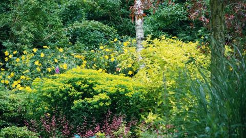 La matinée sera consacrée à la visite technique des pépinières d'Elle et à la découverte des gammes variétales et du jardin d'Elle.PHOTO : PÉPINIÈRES D'ELLE