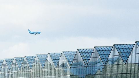 Aalsmeer veut conserver sa place de plaque tournante du commerce mondial de fleurs et plantes, mais doit pour cela préserver ses capacités de fret aérien.PHOTO : FRANCIS GINESTET