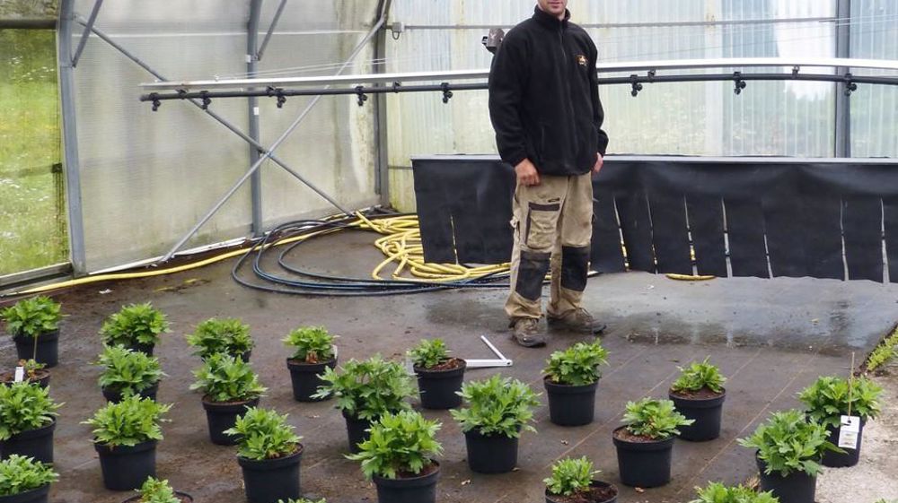 La rampe d'irrigation est équipée d'une bâche qui régule la croissance en hauteur des chrysanthèmes par « au moins deux allers-retours/jour sur les plantes », indique Pierre-Yves Perroud.PHOTO : ÉTABLISSEMENT HORTICOLE DE VALDOIE La rampe d'irrigation est équipée d'une bâche qui régule la croissance en hauteur des chrysanthèmes par « au moins deux allers-retours/jour sur les plantes », indique Pierre-Yves Perroud.PHOTO : ÉTABLISSEMENT HORTICOLE DE VALDOIE