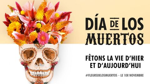 Les moins de 35 ans, les "millennials", sont 27 % à bien voir en quoi consiste le Día de los muertos, d'où l'idée de lancer cette fête au sein de l'Hexagone pour supplanter une Toussaint en perte de vitesse.