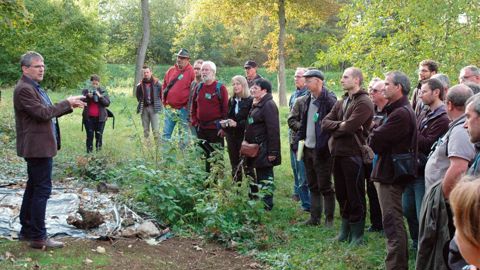 Visite de terrain sur un des sites envahis, où sont testées des méthodes de restauration écologique.