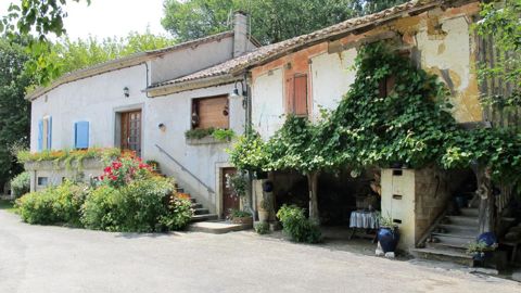 Une vigne ou des « végétaux d'ornement », comme nous les qualifions dans la filière, pour agrémenter une façade ? Le consommateur ne fait pas la différence et la qualification « d'ornemental » ainsi que sa connotation de « qui ne sert à rien et est secondaire », ne peuvent que nuire à la consommation !