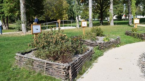 Le bois d'oeuvre a permis à la commune de Cerizay (79) de réaliser de nombreux aménagements, parmi lesquels ces carrés accueillant diverses espèces végétales au sein d'un parc.