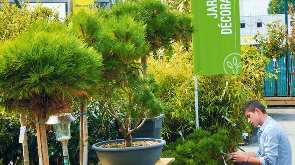 La fusion annoncée entre InVivo Retail (Gamm vert et Delbard) et Jardiland devrait donner naissance à un groupe comptant près de 1 400 magasins travaillant dans l'univers du jardin.PHOTO : IN VIVO