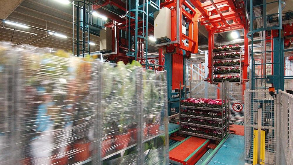 En négociant avec la Turquie, Royal FloraHolland espère augmenter ses exportations vers le pays.PHOTO : RFH