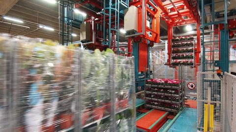 En négociant avec la Turquie, Royal FloraHolland espère augmenter ses exportations vers le pays.PHOTO : RFH