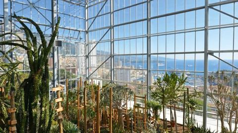 Dix serres et abris ont été construits à l'entrée ouest de Monaco (06) pour héberger une collection de cactus et de succulentes débutée dans les années 1960.PHOTO : RÉMY SCHEJBAL