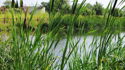 PHOTO : VALÉRIE VIDRIL