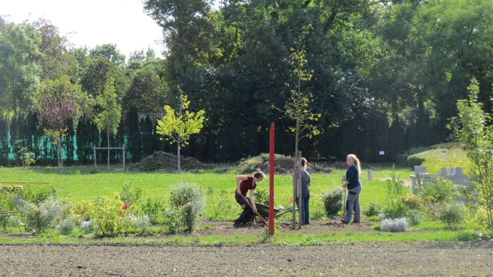 Les taux de réussite aux examens de juin sont, cette année, moins élevés pour l'option « aménagements paysagés ».