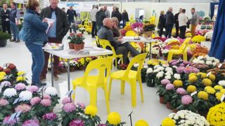 À Carcassonne (11), exposants et visiteurs ont apprécié une édition empreinte de simplicité et à taille humaine.PHOTO : ODILE MAILLARD