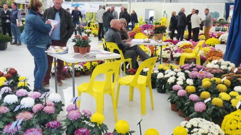 À Carcassonne (11), exposants et visiteurs ont apprécié une édition empreinte de simplicité et à taille humaine.PHOTO : ODILE MAILLARD