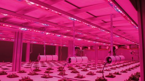 Le prototype du projet HRVST, développé sur la base du concept Jard'In, de Florentaise, visité à l'occasion du dernier Salon du végétal, à Nantes (44), en juin.