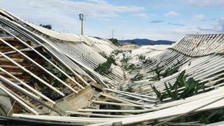 Les abris serres ont été les plus impactés, avec 12 ha concernés, dont environ 3 ha dévitrés et 1,6 ha d'abris plastique entièrement détruits.PHOTO : CA83 Les abris serres ont été les plus impactés, avec 12 ha concernés, dont environ 3 ha dévitrés et 1,6 ha d'abris plastique entièrement détruits.PHOTO : CA83