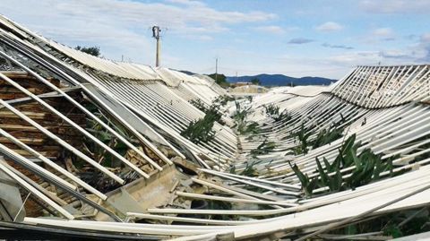 Les abris serres ont été les plus impactés, avec 12 ha concernés, dont environ 3 ha dévitrés et 1,6 ha d'abris plastique entièrement détruits.PHOTO : CA83