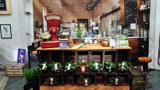 Le prix Jac Lodder du meilleur stand végétal est revenu à Special Plant Zundert dont l'assortiment était présenté dans une mise en scène rétro.