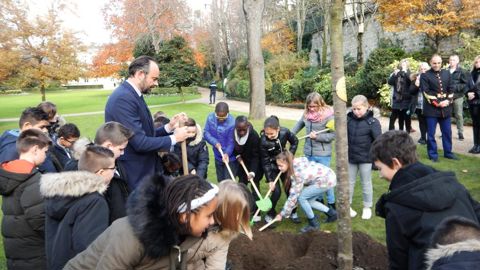Édouard Philippe est le seizième Premier ministre à honorer la tradition, avec cette fois-ci un pommier normand.JULIEN MERCHER