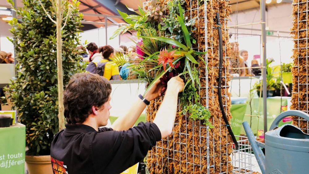 De nombreux aspects du financement de la formation professionnelle et de l'apprentissage entreront en vigueur d'ici 2021.