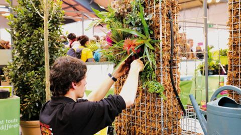 De nombreux aspects du financement de la formation professionnelle et de l'apprentissage entreront en vigueur d'ici 2021.