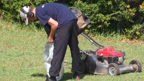 La tonte, la taille manuelle de végétaux et l'enlèvement des déchets peuvent être assurés par des services à la personne. Mais l'installation d'un gazon ou la plantation de massifs sont du ressort d'une entreprise de paysage.