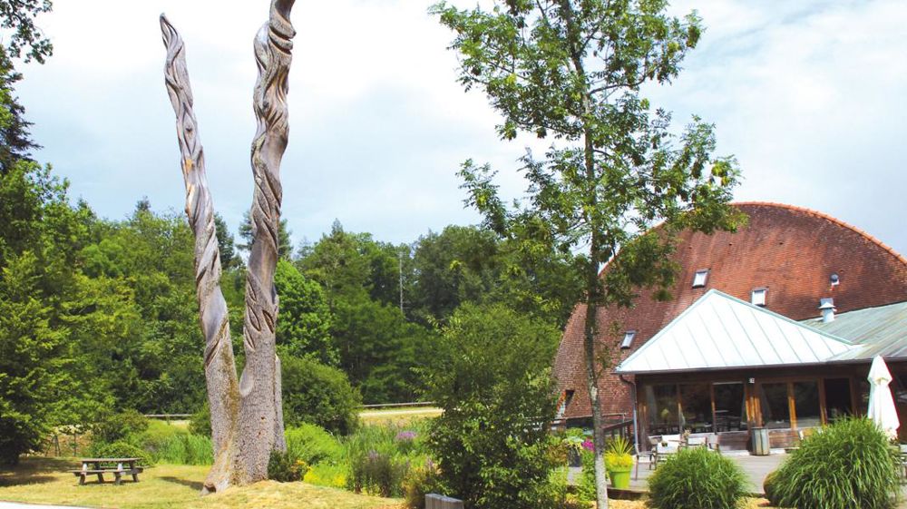 Rendez-vous à l'Arboretum des Barres, les 13 et 14 octobre prochain, pour une journée de l'Arbre qui sera la dernière, puisque le site fermera ses portes au public le 4 novembre. Rendez-vous à l'Arboretum des Barres, les 13 et 14 octobre prochain, pour une journée de l'Arbre qui sera la dernière, puisque le site fermera ses portes au public le 4 novembre.