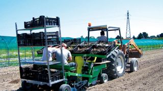 Dans le Maine-et-Loire, 35 000 CDD agricoles sont signés chaque année.PHOTO ANNE MABIRE Dans le Maine-et-Loire, 35 000 CDD agricoles sont signés chaque année.PHOTO ANNE MABIRE