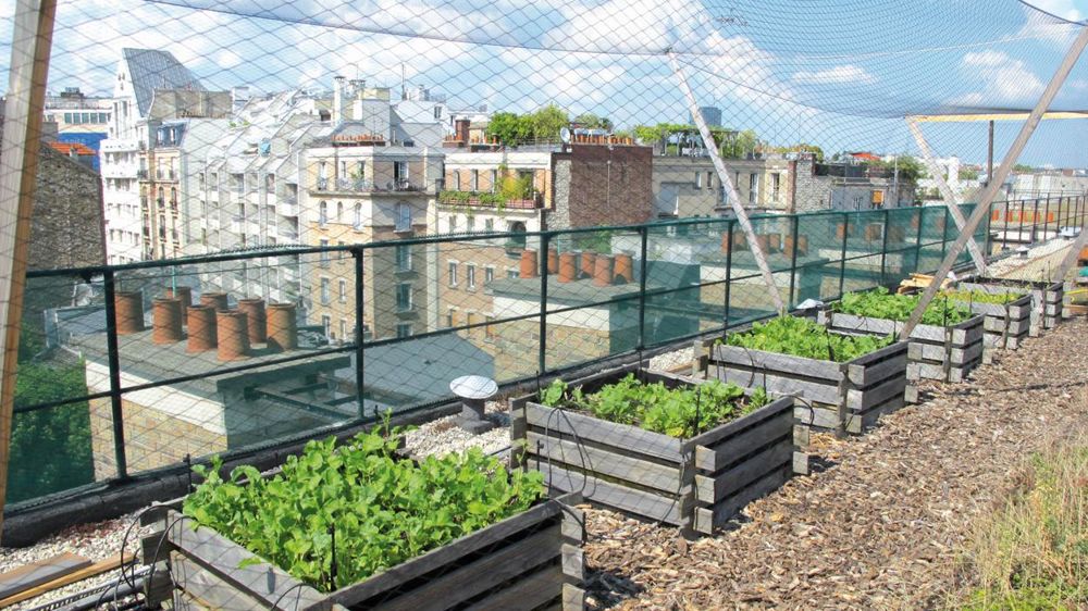 L'agricluture urbaine est l'un des domaines dans lesquels il est possible d'obtenir une récompense dans le cadre du concours de l'innovation Végépolys. L'agricluture urbaine est l'un des domaines dans lesquels il est possible d'obtenir une récompense dans le cadre du concours de l'innovation Végépolys.