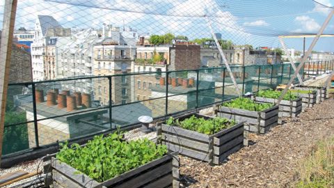 L'agricluture urbaine est l'un des domaines dans lesquels il est possible d'obtenir une récompense dans le cadre du concours de l'innovation Végépolys.