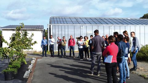 À la station Arexhor Pays de la Loire, les couvre-sols font l'objet de plusieurs essais dont un sur des cerisiers en pot.PHOTO ANNE MABIRE