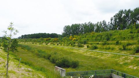 Les prairies humides, comme les boisements, constituent des milieux favorables à la survie des tiques. PHOTO : YAËL HADDAD