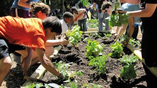 Trois catégories d' « imaginaires » se retrouvent dans un jardin partagé : le « communautaire », le « tous ensemble » et « la rencontre ».PHOTO ISABELLE CORDIER Trois catégories d' « imaginaires » se retrouvent dans un jardin partagé : le « communautaire », le « tous ensemble » et « la rencontre ».PHOTO ISABELLE CORDIER