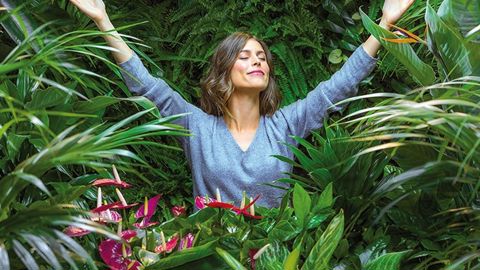 PHOTO ©MAPLANTEMONBONHEUR.FR