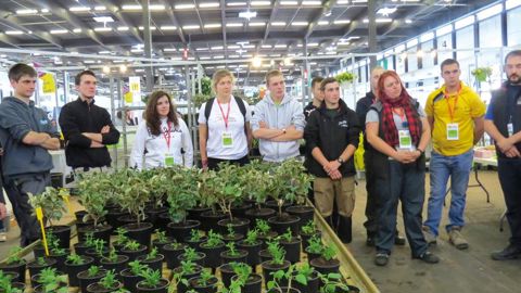 Après une quinzaine d'heures d'épreuves sur trois jours, les candidats ont droit aux félicitations des jurys (bénévoles) et à des cadeaux de leurs sponsors. Les compétiteurs pour le métier horticulture, en 2017 durant les finales à Bordeaux.PHOTO : ODILE MAILLARD