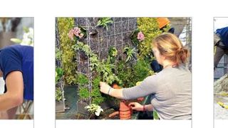 Aux Olympiades, les métiers du végétal comprennent l'horticulture, les jardiniers-paysagistes et l'art floral. PHOTO : WORLDSKILLS Aux Olympiades, les métiers du végétal comprennent l'horticulture, les jardiniers-paysagistes et l'art floral. PHOTO : WORLDSKILLS