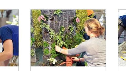 Aux Olympiades, les métiers du végétal comprennent l'horticulture, les jardiniers-paysagistes et l'art floral. PHOTO : WORLDSKILLS