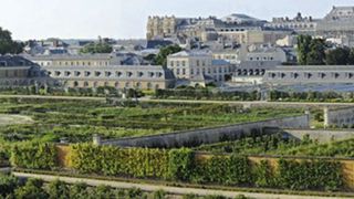 « Depuis la création du potager du Roi, nous disposons d'un exemple historique que les terres inertes sont source de fertilité », relate Vincent Piveteau, directeur de l'ENSP.PHOTO ENSP « Depuis la création du potager du Roi, nous disposons d'un exemple historique que les terres inertes sont source de fertilité », relate Vincent Piveteau, directeur de l'ENSP.PHOTO ENSP