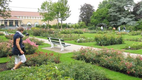 Les voyages à caractère pédagogique, comme ici aux Pays-Bas où des professionnels ont travaillé sur la diversité variétale en pépinière, ou en Italie sur le greffage, peuvent s'inscrire au titre de formation.PHOTO : ODILE MAILLARD