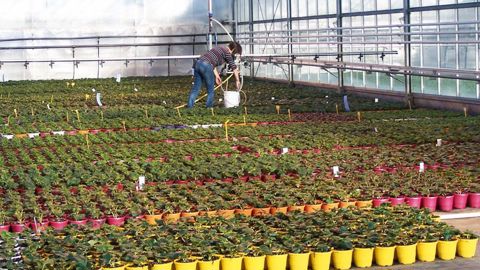 Horticulteurs et pépiniéristes ont fait état de leurs préoccupations en matière de compétitivité. Mais ils ont aussi attiré l'attention des élus sur un enjeu fort, le renouvellement des générations.