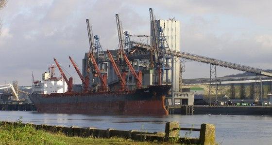 Selon les analystes, la demande chinoise en soja devrait continuer à être forte