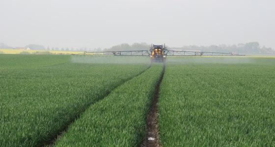 Que ce soit la rouille ou la septoriose qui fasse déclencher, les stratégies sont similaires. Ce qui change c’est l’ajustement du choix des produits et des doses. 