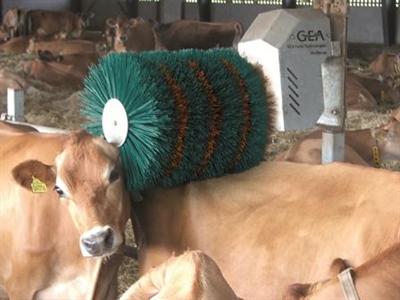brosse rotative Gea Farm Technologies