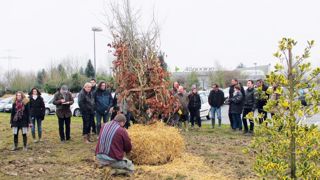 Lors de la journée Florysage, organisée sous le parrainage de Val'hor et en partenariat avec l'Unep et Natureparif, les participants ont assisté à deux démonstrations d'arrachage aux pépinières Allavoine. Lors de la journée Florysage, organisée sous le parrainage de Val'hor et en partenariat avec l'Unep et Natureparif, les participants ont assisté à deux démonstrations d'arrachage aux pépinières Allavoine.