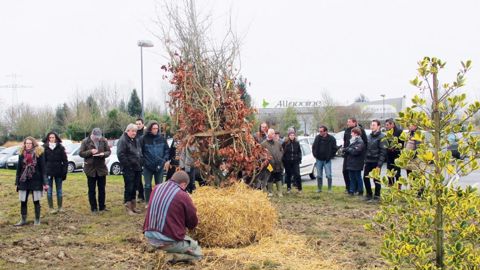 Lors de la journée Florysage, organisée sous le parrainage de Val'hor et en partenariat avec l'Unep et Natureparif, les participants ont assisté à deux démonstrations d'arrachage aux pépinières Allavoine.