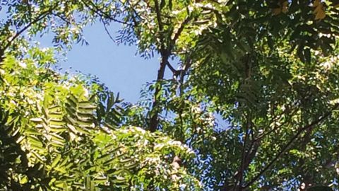 ODILE MAILLARD ET PANTONE