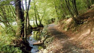 La ville de Dardilly, commune de 8 500 habitants, qui accueillait la rencontre, montre un exemple de prise en compte des trames vertes et bleues et de la biodiversité en zone périurbaine.PHOTO : VILLE DE DARDILLY La ville de Dardilly, commune de 8 500 habitants, qui accueillait la rencontre, montre un exemple de prise en compte des trames vertes et bleues et de la biodiversité en zone périurbaine.PHOTO : VILLE DE DARDILLY